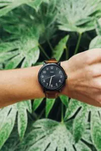 wrist with watch in front of leaves